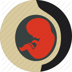 obstetrics-fetus-embryo-newborn-pregnancy-256