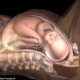 Ένα υπέροχο video animation με τη διαδικασία του τοκετού | Δρ Γεώργιος Μπάσιος - Μαιευτήρας Χειρουργός Γυναικολόγος